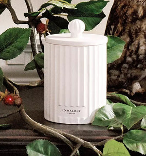 Wild Berry & Bramble Ceramic Candle