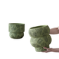 Verdant Vase