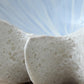 Ocean Shell Bowl