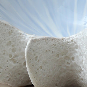 Ocean Shell Bowl