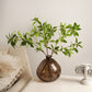 Velora  Aura  Vase