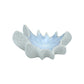 Ocean Shell Bowl